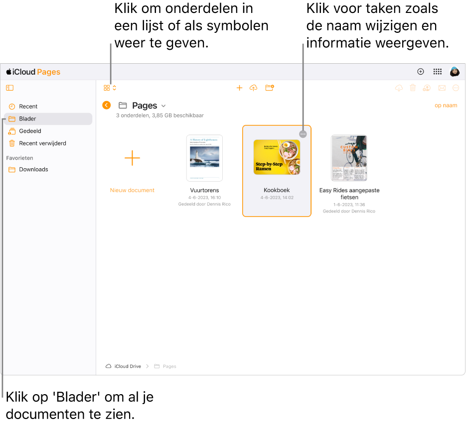 De documentmanager in de bladerweergave waarin Pages-documenten als symbolen in een raster worden weergegeven. De knop 'Meer' (drie stippen) is zichtbaar in de rechterbovenhoek van het geselecteerde document. Boven de documenten staat links in de knoppenbalk een pop‑upmenu waarin je kunt kiezen of je onderdelen als symbolen of in een lijst wilt weergeven. Rechts in de knoppenbalk staan knoppen voor downloaden, samenwerken, e‑mailen en verwijderen.