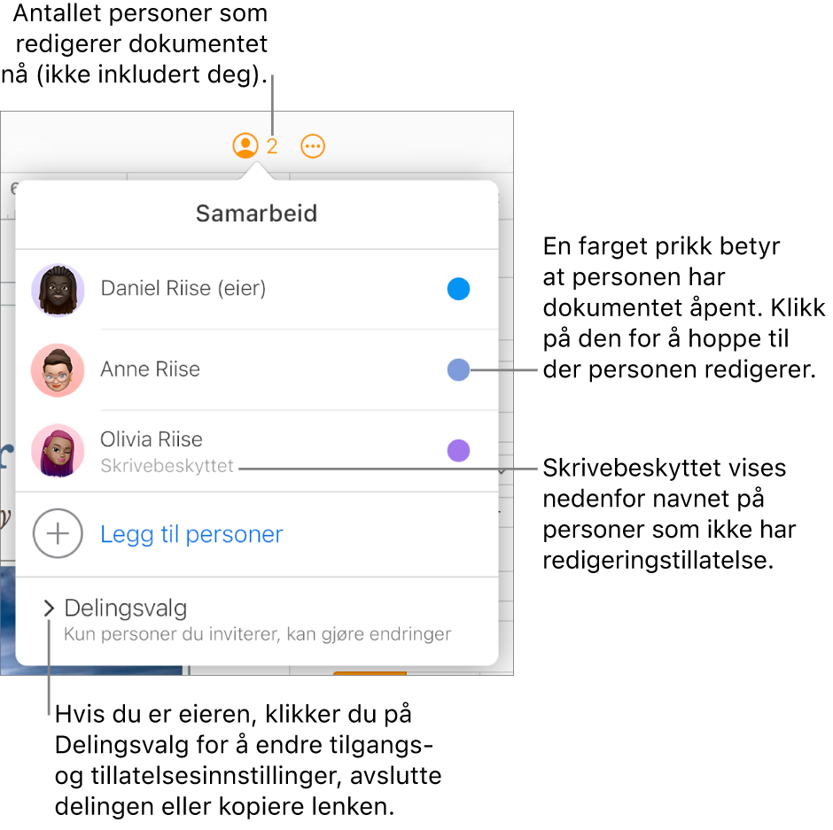 Samarbeid-menyen er åpen, med en liste med tre deltakere (én med Skrivebeskyttet tilgang), valget Legg til personer samt en Delingsvalg-del.