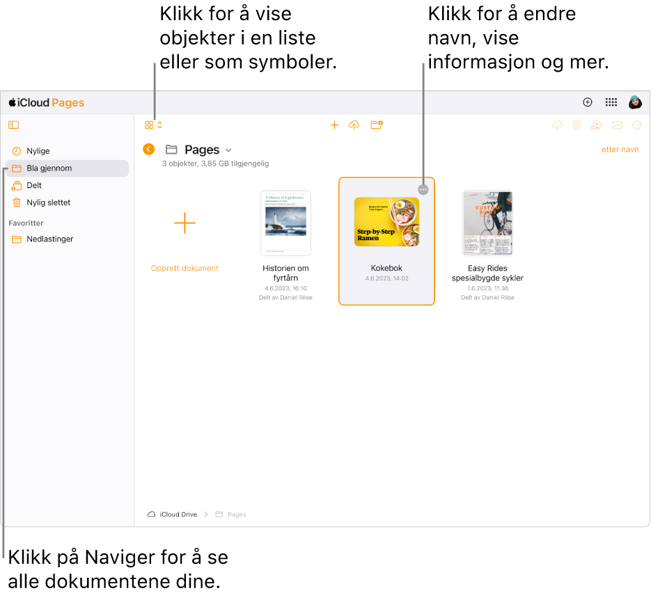 Dokumentorganisereren i navigeringsvisning viser Pages-dokumenter som symboler i et rutenett. Mer-knappen (tre prikker) vises i oppe i høyre hjørne av det valgte dokumentet. Over dokumentene er det en lokalmeny på venstre side i verktøylinjen der du kan velge om du vil vise objekter som symboler eller i en liste. Til høyre i verktøylinjen er det knapper for å laste ned, samarbeide, sende e-post og slette.
