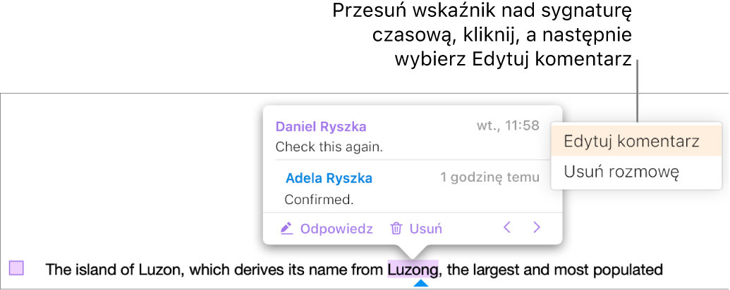 Komentarz jest otwarty, wskaźnik znajduje się na sygnaturze czasowej u góry, a menu podręczne zawiera dwie opcje: Edytuj komentarz i Usuń rozmowę.