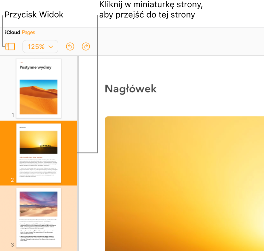 Widok Miniaturki stron z lewej strony ekranu z zaznaczoną stroną. Na pasku narzędzi nad miniaturkami znajduje się przycisk Widok.