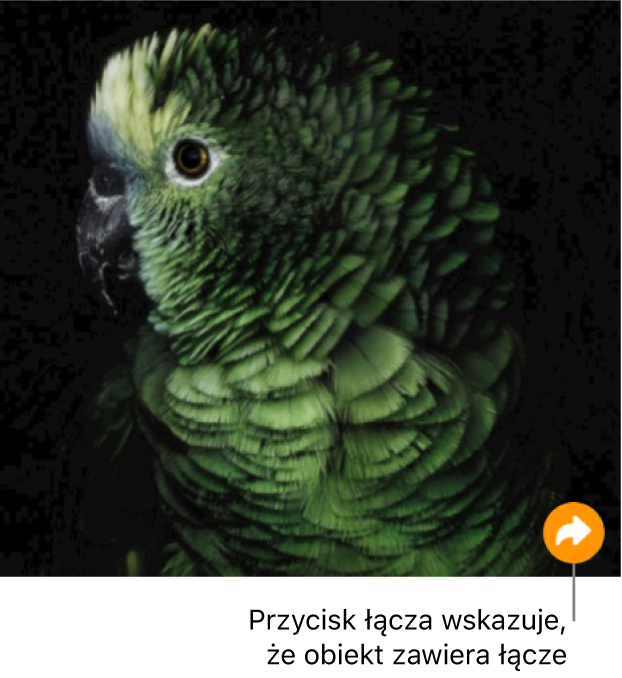 Obrazek z przyciskiem łącza (przypominającym zakrzywioną strzałkę) w prawym dolnym rogu.