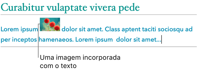 Uma imagem é colocada incorporada com o texto.