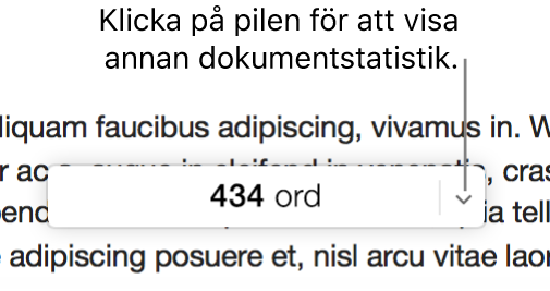 Popupmenyn för dokumentstatistik med ordräkningen.