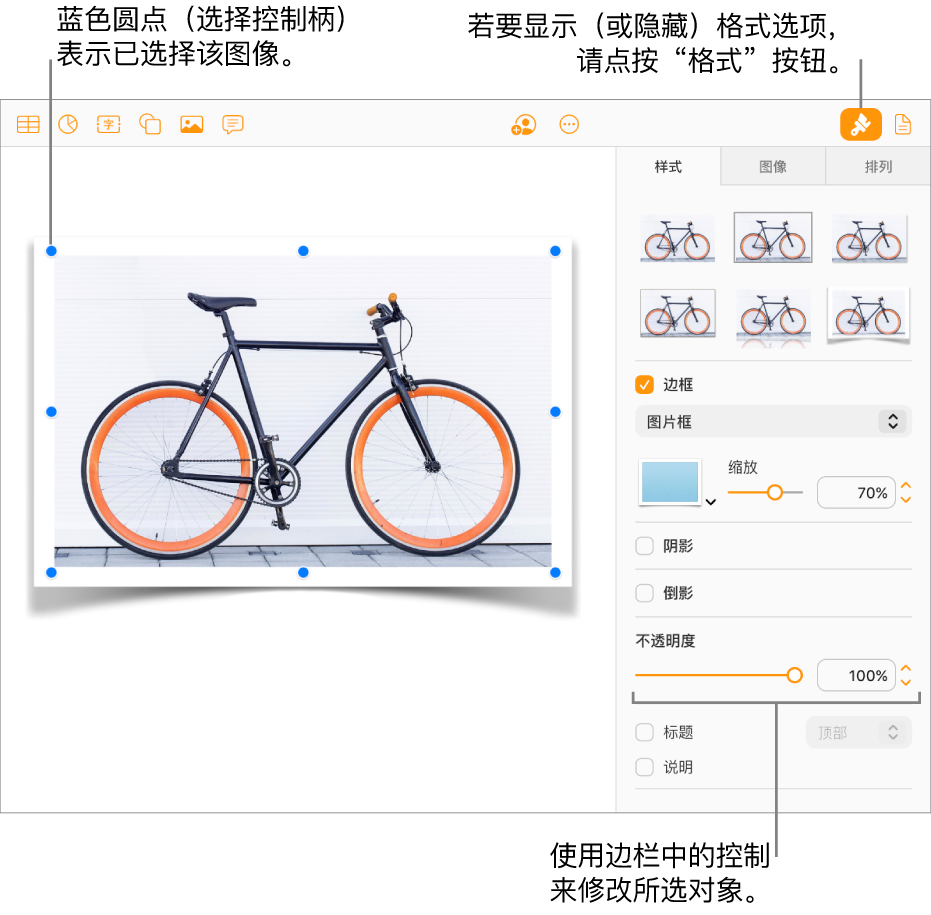 文稿中一个被选中的图像，用于更改外观的控制项（例如，边框和阴影复选框）显示在右侧边栏中。