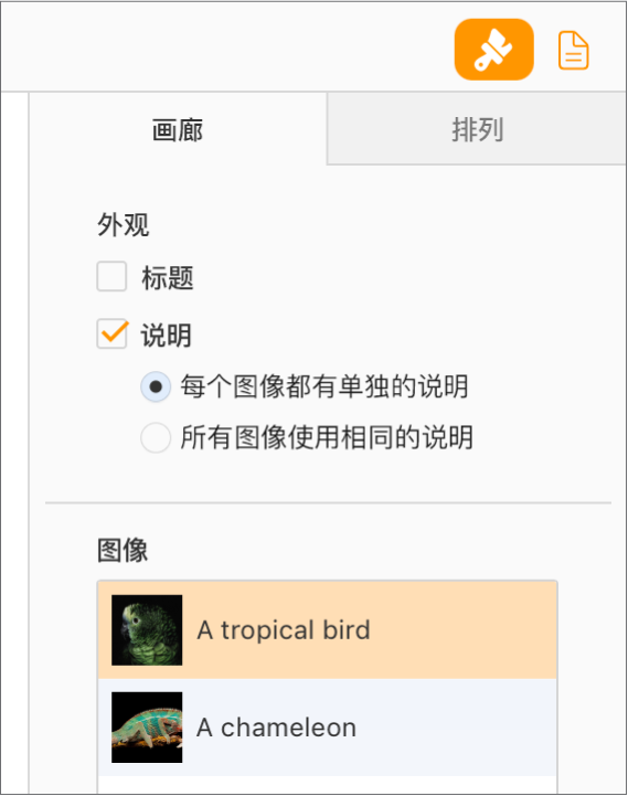 “格式”边栏中的“画廊”标签。“说明”复选框已选中，还可以选择是为每张图像提供单独的说明，还是为所有图像提供相同的说明。控制项下方是每张图像的缩略图，右侧附上相应图像的说明。