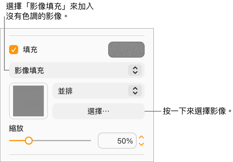 側邊欄中已選取「填充」註記框，註記框下方的彈出式選單也已選取「影像填充」。選擇影像、影像填充物件的方式，以及影像尺寸的控制項目會顯示於彈出式選單下方。影像填充的預覽在正方形中顯示（在選擇影像後）。