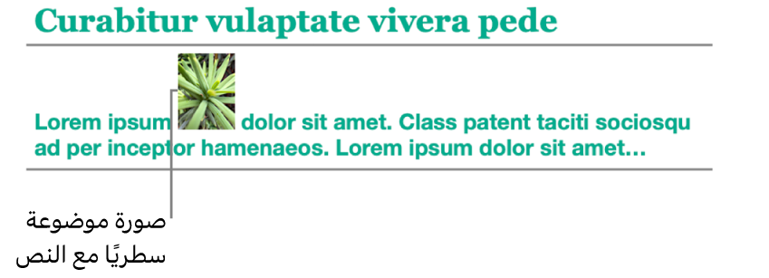 صورة في موضع سطري مع النص.