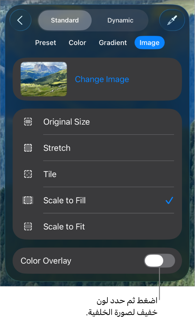 عناصر التحكم في الخلفية مع تعيين صورة كخلفية للشريحة والتحكم في تراكب الألوان في الأسفل.