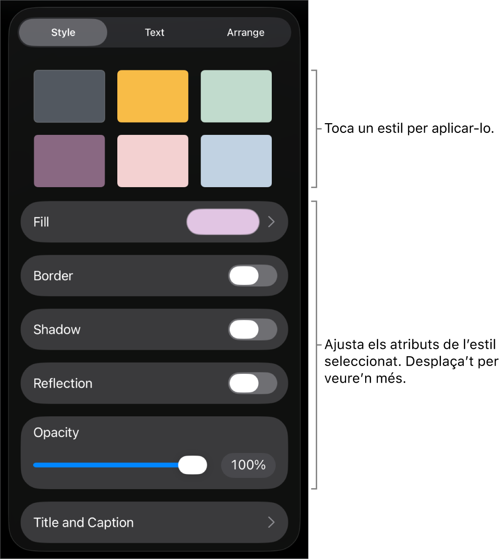 La pestanya Estil del menú Format amb estils d’objecte a la part superior i a sota, els controls per canviar la vora, ombra, reflex i opacitat.
