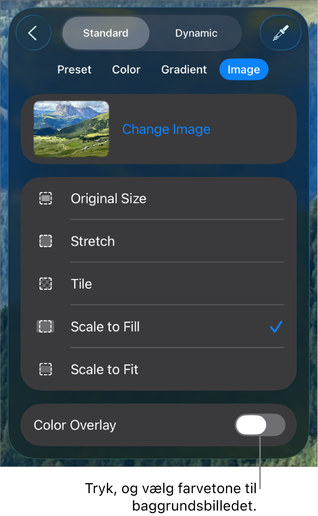 Betjeningsmulighederne til baggrund med et billede indstillet som lysbilledbaggrund og betjeningsmulighederne til Farveoverligger nederst.