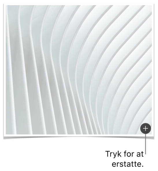 Et billede med knappen Erstat billede.