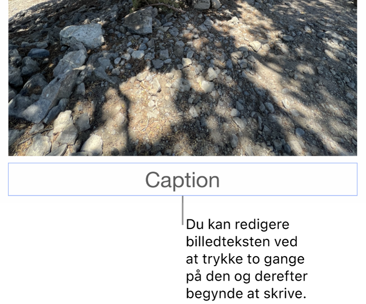 Eksempelbilledteksten “Billedtekst” vises under et foto, og en blå kontur rundt om feltet med billedtekst viser, at det er valgt.