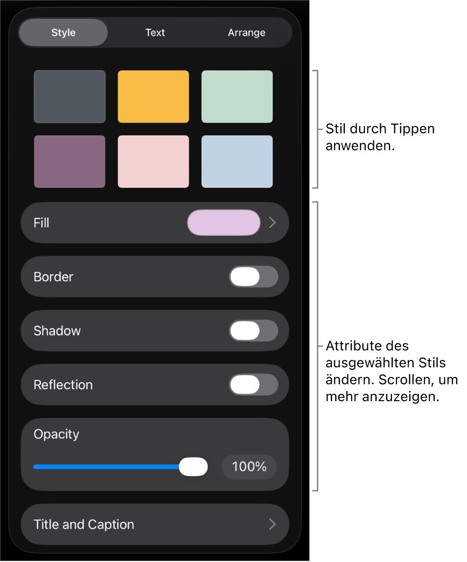 Der Tab „Stil“ des Menüs „Format“ mit Objektstilen oben und Steuerelementen zum Ändern des Rahmens, des Schattens, der Reflexion und der Deckkraft darunter.