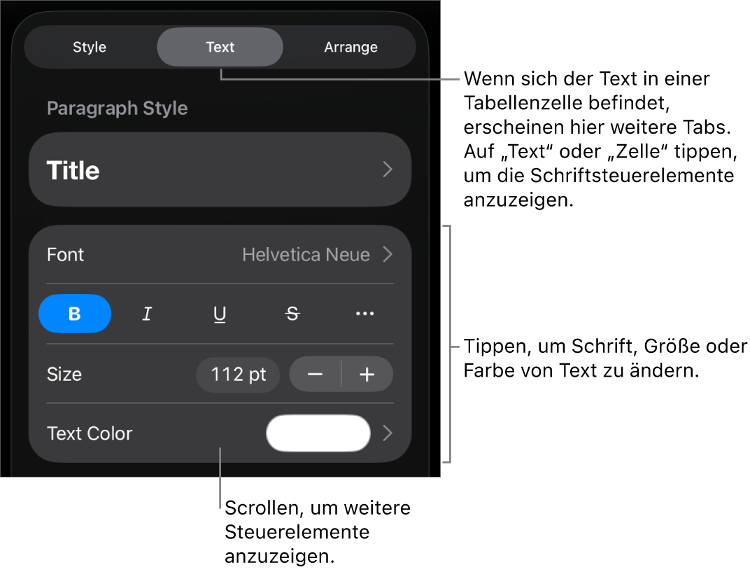 Textsteuerelemente im Menü „Format“ zum Festlegen von Absatz- und Zeichenstilen, Schrift, Größe und Farbe
