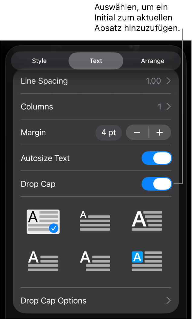 Die Steuerelemente „Initial“ im Menü „Text“