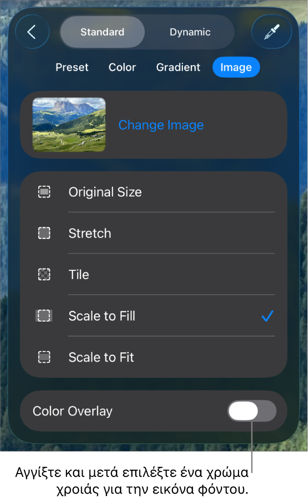 Τα στοιχεία ελέγχου Φόντου με μια εικόνα που έχει οριστεί ως φόντο του σλάιντ και το στοιχείο ελέγχου «Υπέρθεση χρώματος» στο κάτω μέρος.