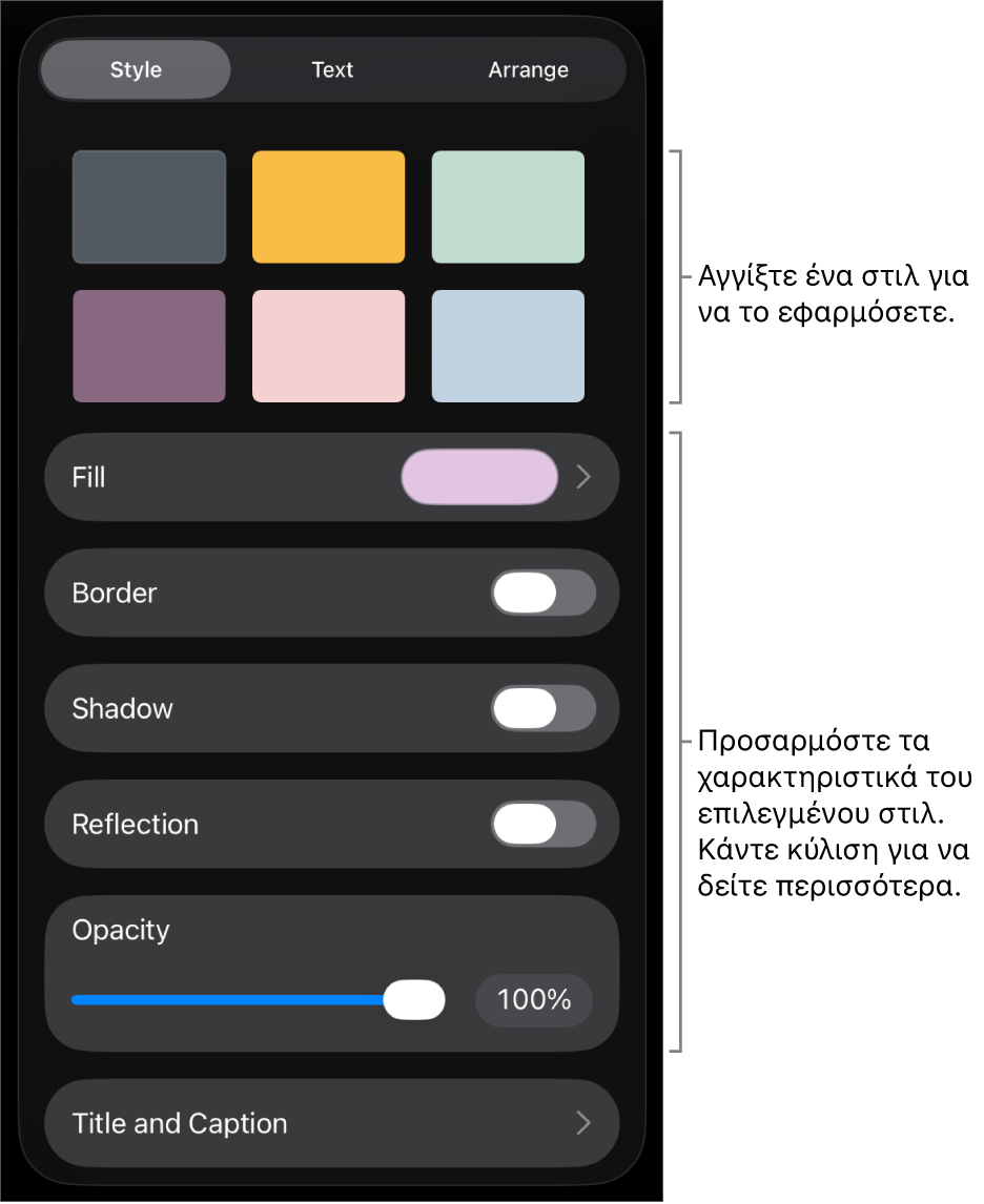 Η καρτέλα «Στιλ» στο μενού «Μορφή», με στιλ αντικειμένου στο πάνω μέρος και στοιχεία ελέγχου από κάτω για αλλαγή περιγραμμάτων, σκιών, αντανάκλασης και αδιαφάνειας.