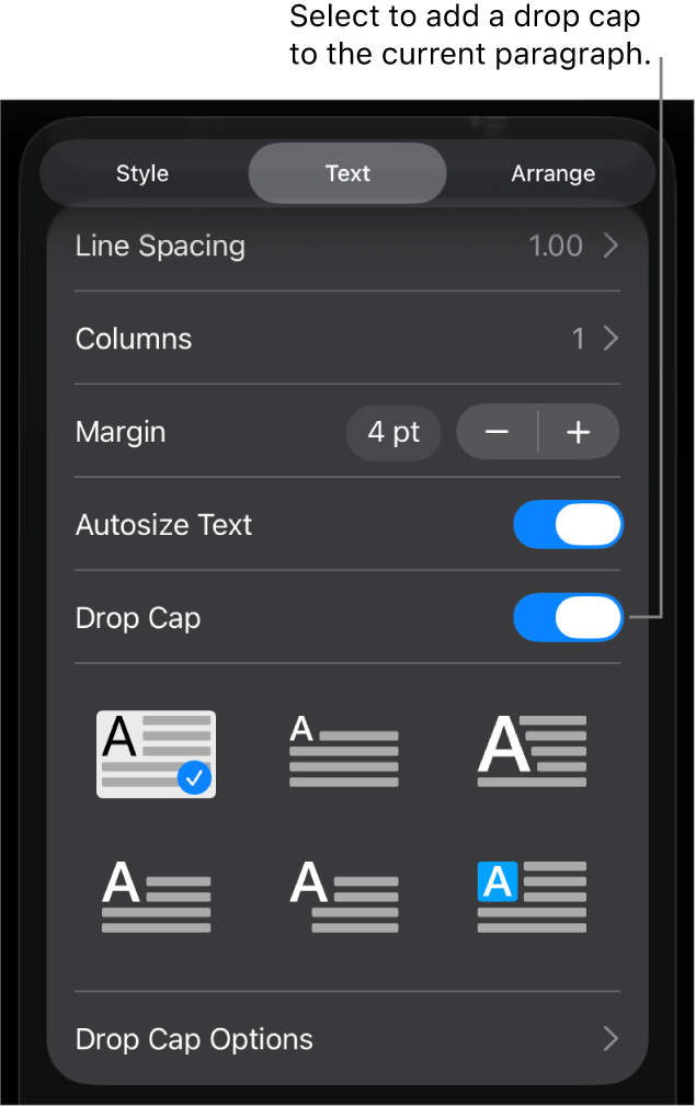 The Drop Cap controls located in the Text menu.