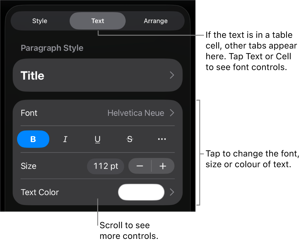 Text controls in the Format menu for setting paragraph and character styles, font, size and colour.