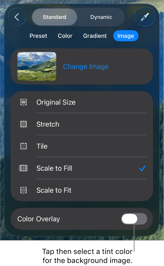 The Background controls with an image set as the slide background and the Color Overlay control at the bottom.