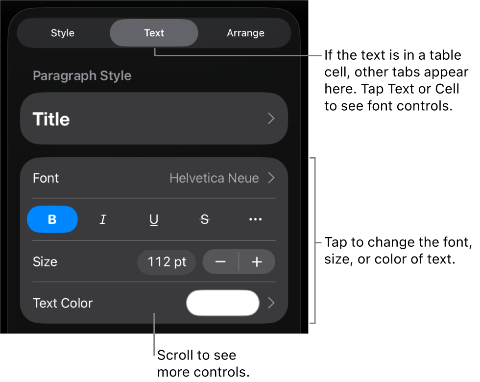 Text controls in the Format menu for setting paragraph and character styles, font, size, and color.