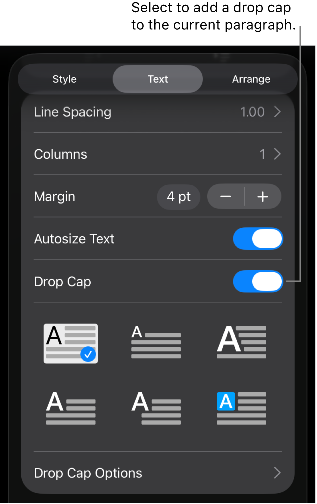 The Drop Cap controls located in the Text menu.