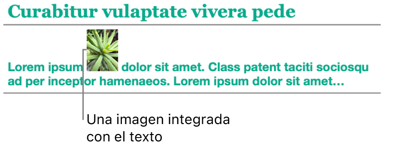Una imagen colocada integrada con el texto.