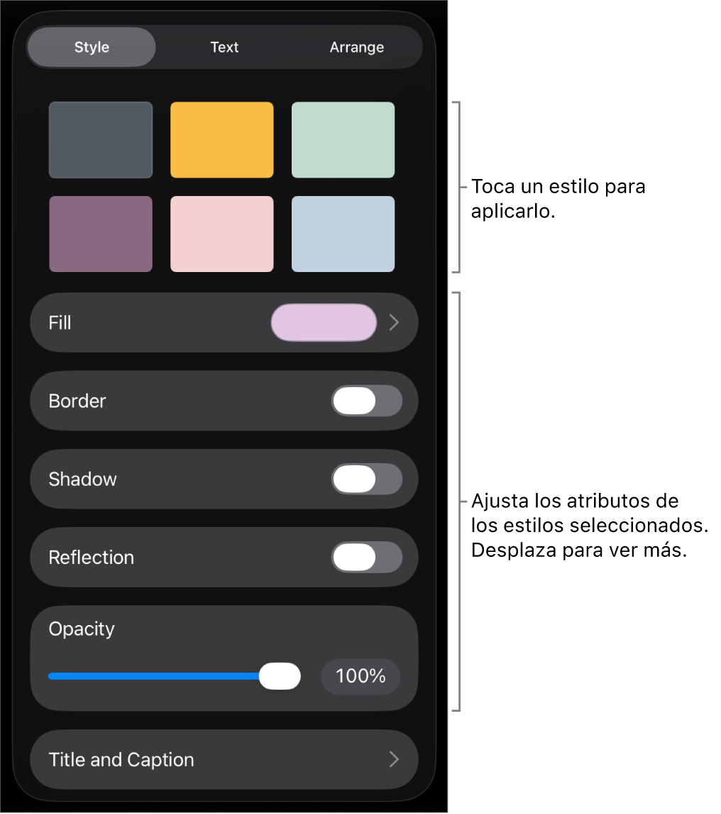 La pestaña Estilo del menú Formato con estilos de objetos en la parte superior y controles debajo para cambiar el borde, las sombras, los reflejos y la opacidad.