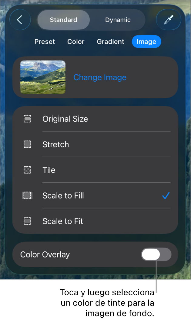 Los controles de Fondo con una imagen establecida como el fondo de la diapositiva y el control “Superposición de color” en la parte inferior.