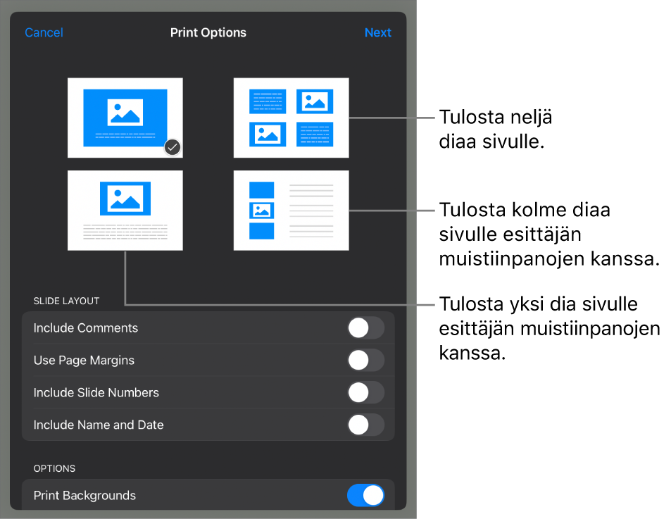 Tulostuksen asettelun valinnat.