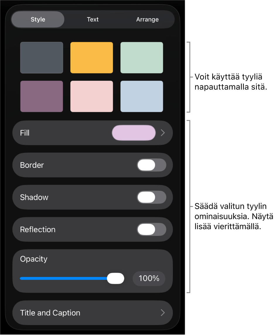 Muoto-valikon Tyyli-välilehti, jossa on ylhäällä objektityylejä ja niiden alla säätimiä, joilla muutetaan reunoja, varjoa, heijastusta ja peittävyyttä.