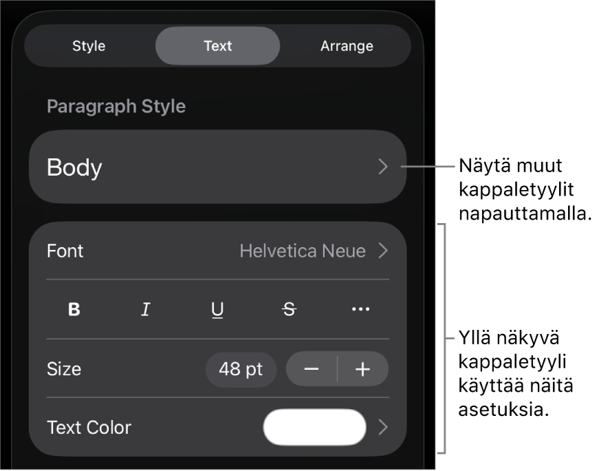 Muoto-valikko, jossa on tekstisäätimet kappale- ja merkkityylien, fontin, koon ja värin valitsemista varten.