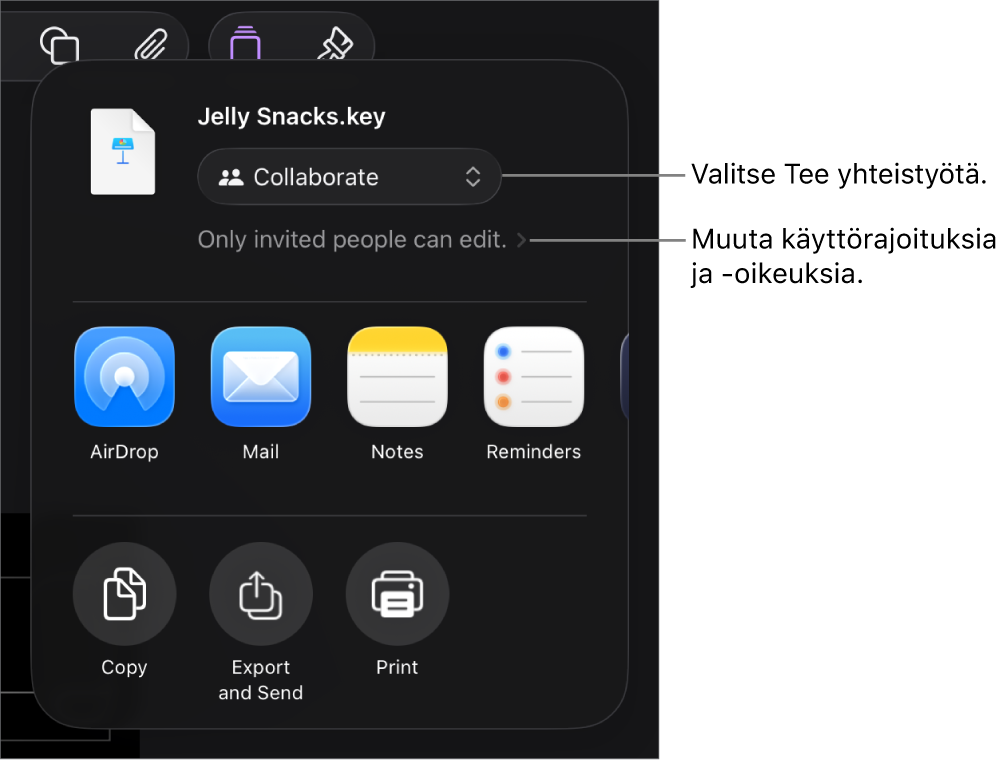 Jaa-valikko, jossa on ylhäällä valittuna Tee yhteistyötä, ja sen alla ovat käyttöoikeus- ja lupa-asetukset.