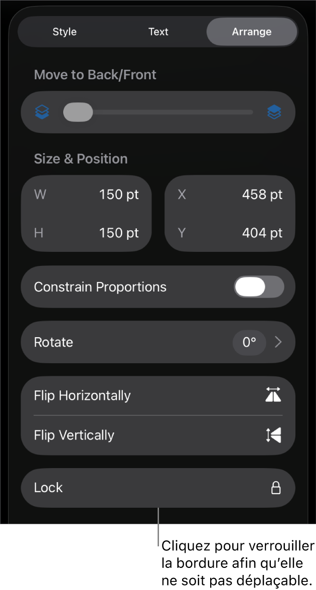 Les commandes Disposition dans le menu Format avec le bouton Verrouiller en évidence.