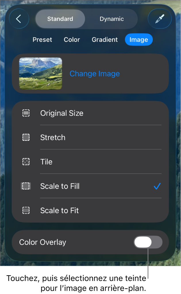 Les commandes Arrière-plan avec une image réglée comme arrière-plan des diapositives et la commande Superposition de couleurs au bas.