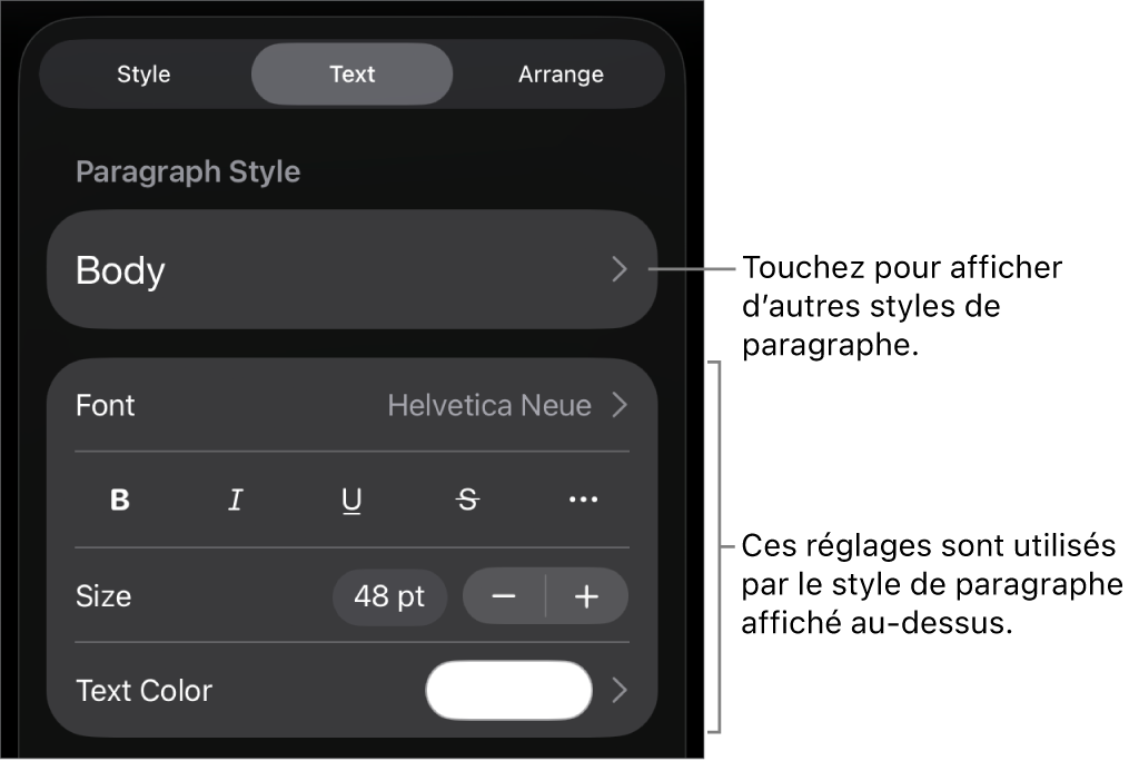 Menu Format avec commandes de texte permettant de définir les styles, la police, la taille et la couleur des paragraphes et des caractères.