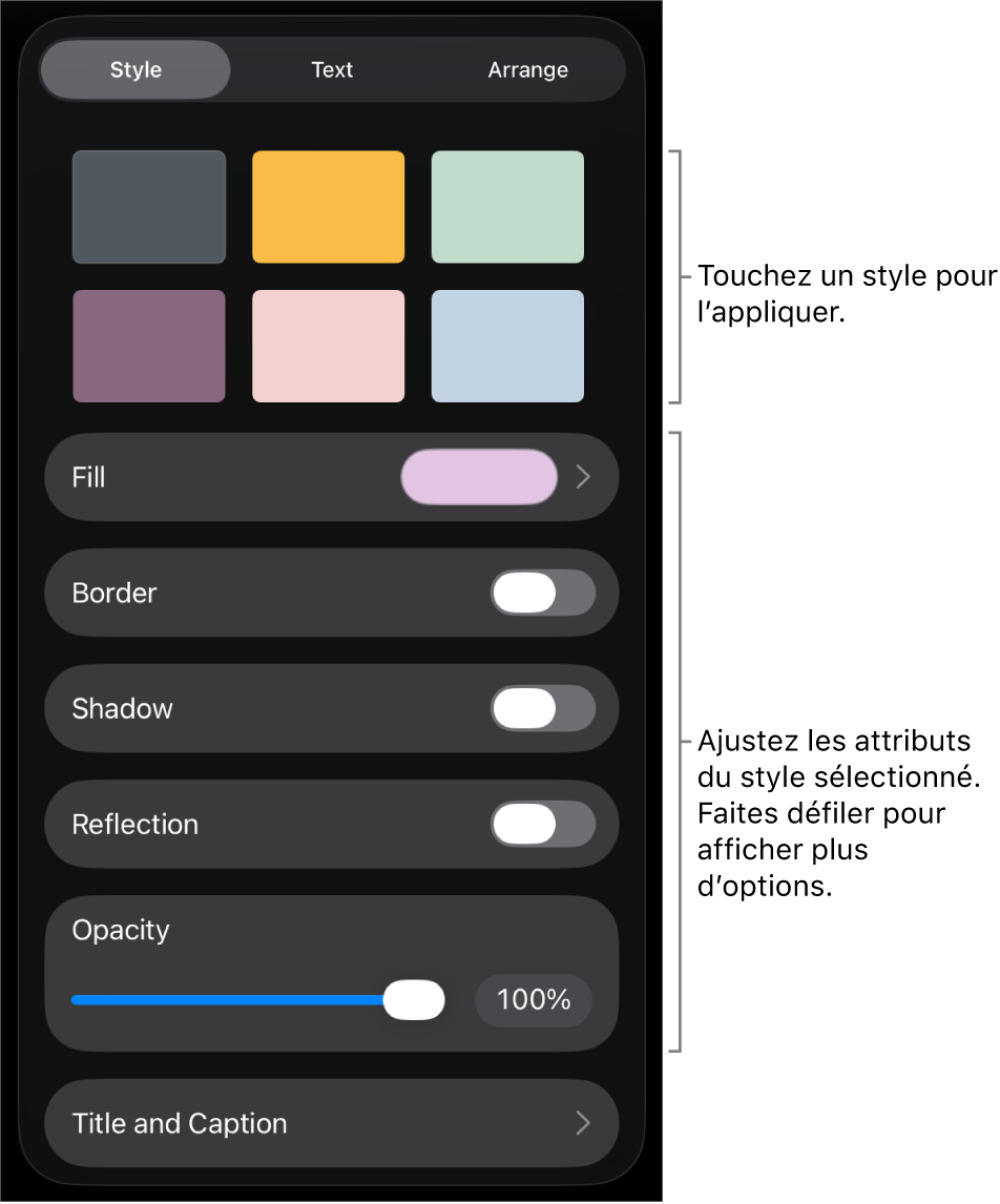 Onglet Style du menu Format avec des styles d’objet en haut et, en dessous, des commandes de modification de bordure, d’ombre, de reflet et d’opacité.