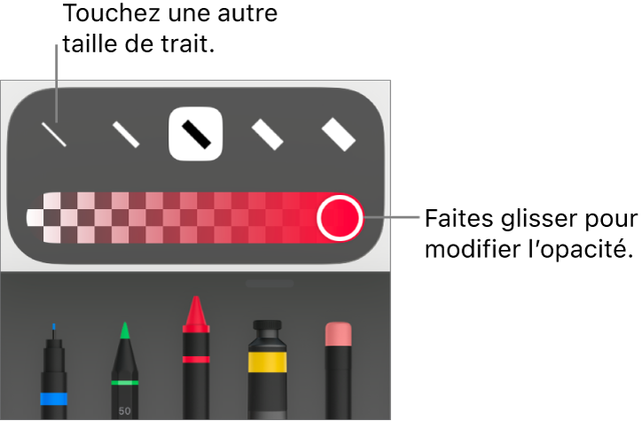 Commandes de sélection de taille de trait et curseur d’ajustement de l’opacité.