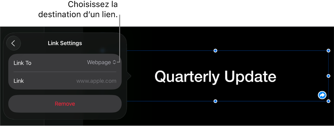 Les commandes Réglages du lien avec l’option Page Web sélectionnée au-dessus du bouton Supprimer.