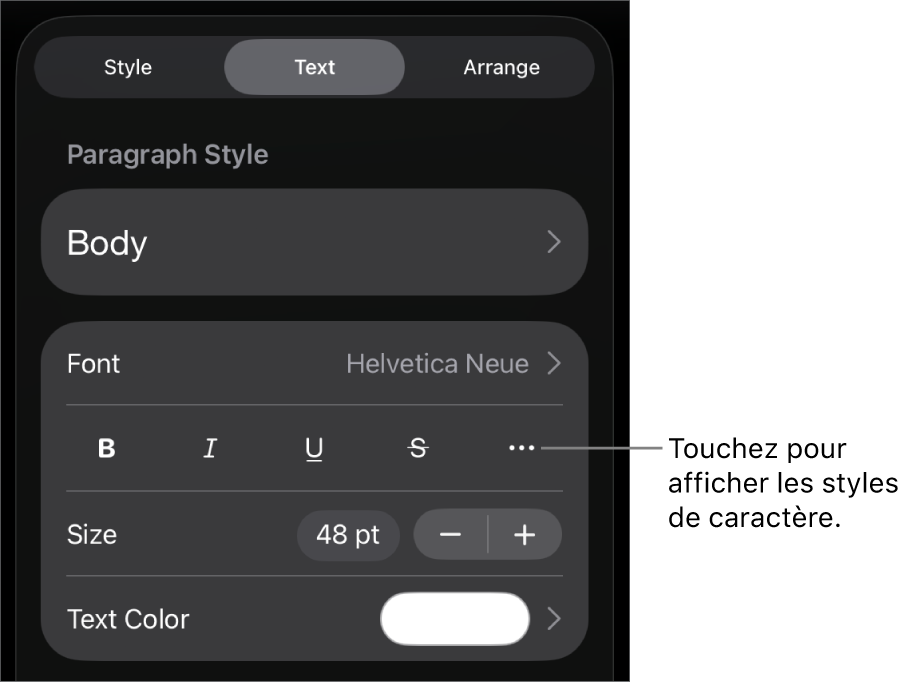 Les commandes de Format avec les styles de paragraphes en haut, puis les commandes de Police. Sous Police se trouvent les boutons Gras, Italique, Souligné, Barré et Plus d’options de texte.