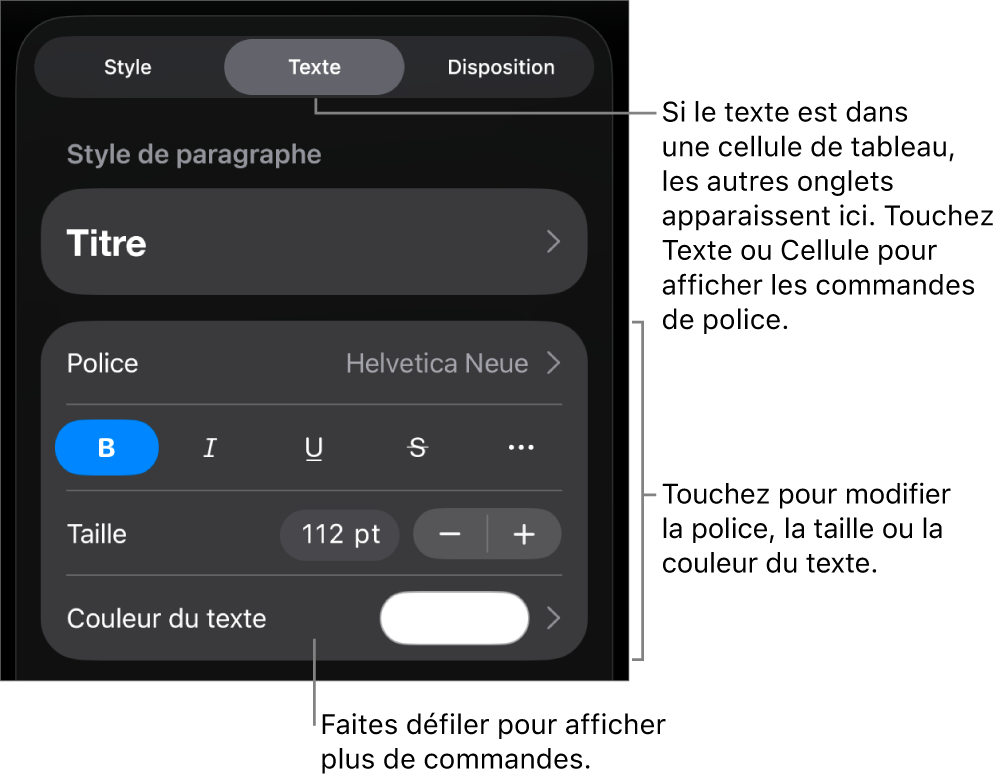 Commandes de texte du menu Format permettant de définir les styles, la police, la taille et la couleur des paragraphes et des caractères.
