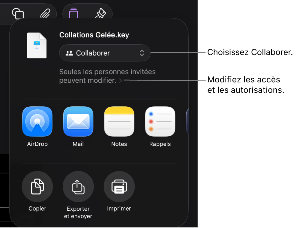 Le menu Partager avec l’option Collaborer sélectionnée en haut, et des réglages d’accès et d’autorisation en dessous.