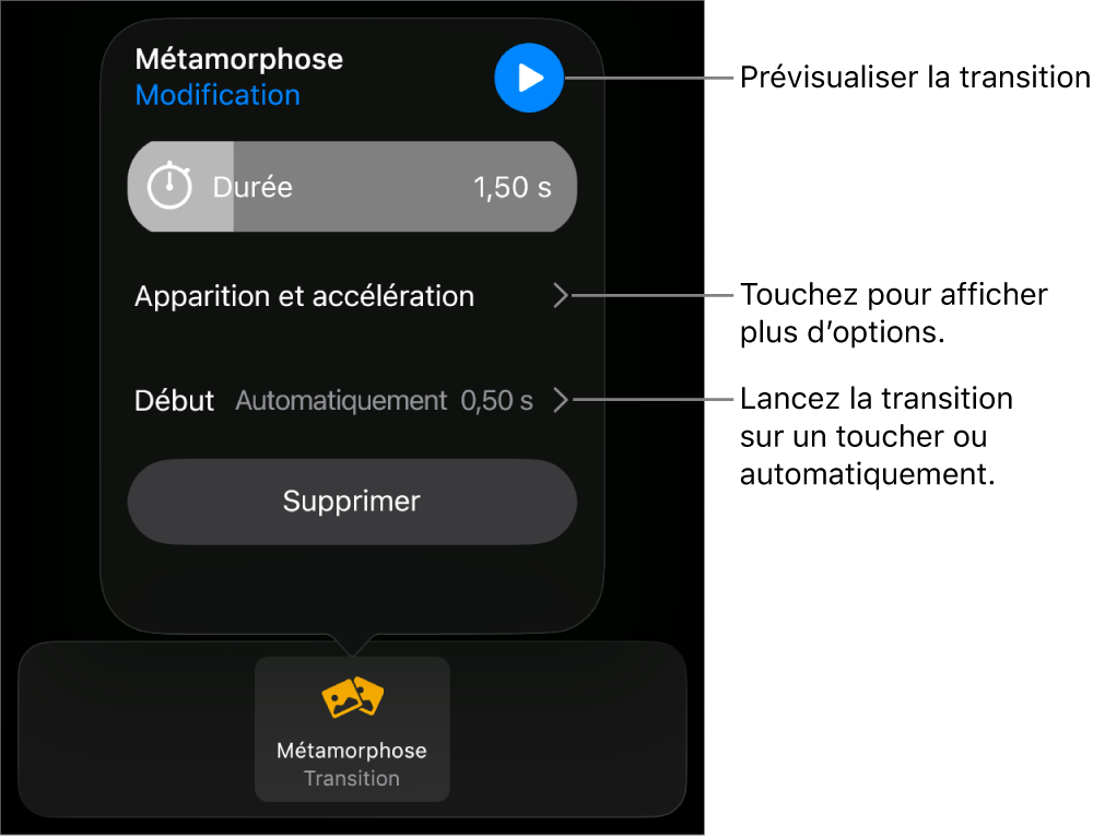 Commandes Métamorphose de la sous-fenêtre Transitions.