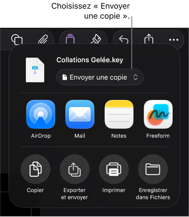 Le menu Partager avec l’option Envoyer une copie sélectionnée en haut.