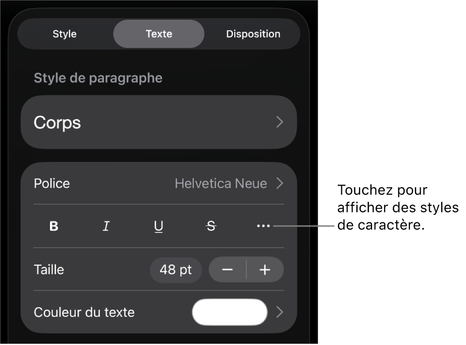 Les commandes de mise en forme avec les styles de paragraphe en haut, suivis des commandes de police. En dessous de Police se trouvent les boutons Gras, Italique, Souligné, Barré et « Plus d’options de texte ».