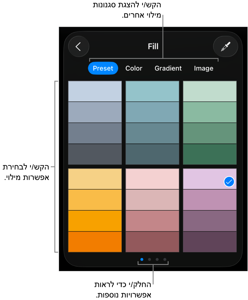 אפשרויות מילוי בכרטיסיה ״סגנון״.