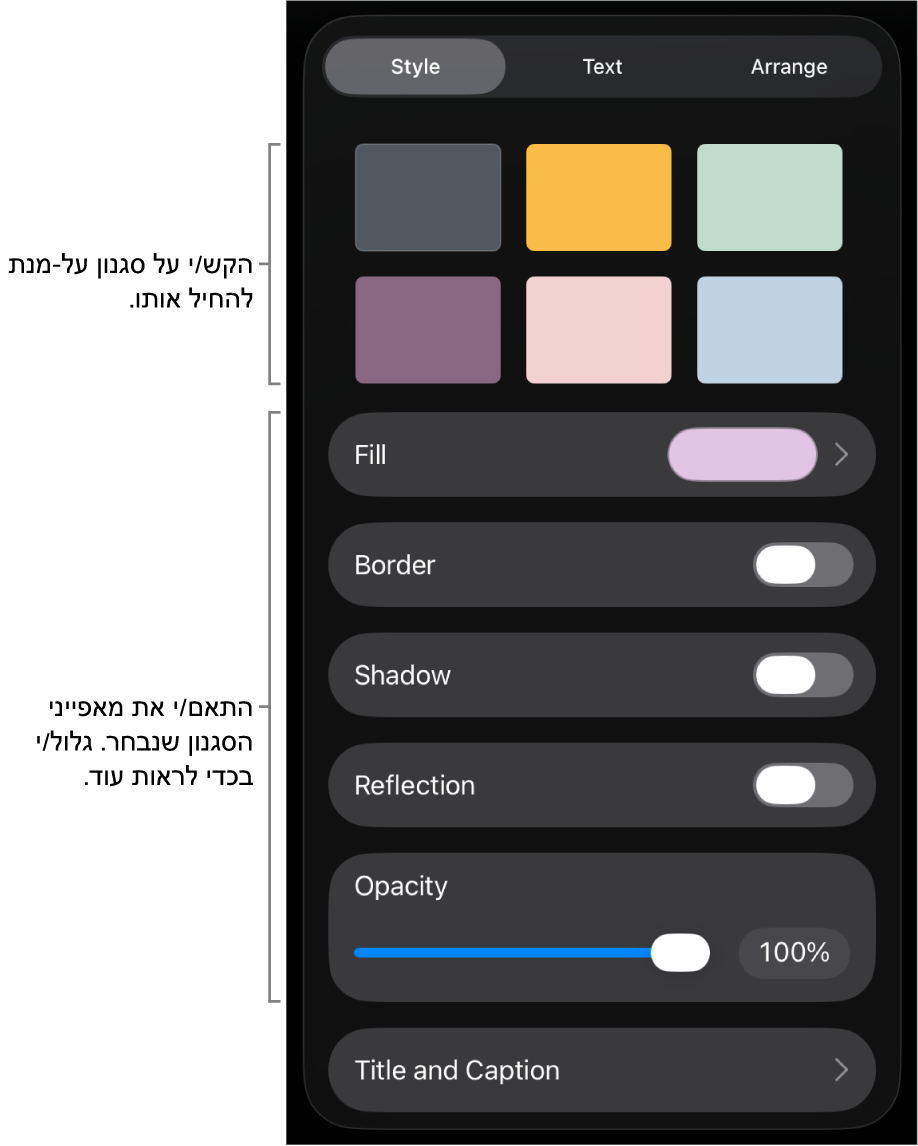 הכרטיסייה ״סגנון״ בתפריט ״עיצוב״ עם סגנונות אובייקטים בחלק העליון ומתחת להם כלי בקרה לשינוי הגבול, הצללית, ההשתקפות והאטימות.