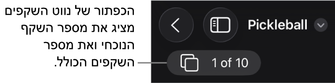 הכפתור של נווט השקפים, מציג את המספר של השקף הנוכחי ואת המספר הכולל של שקפים במצגת.