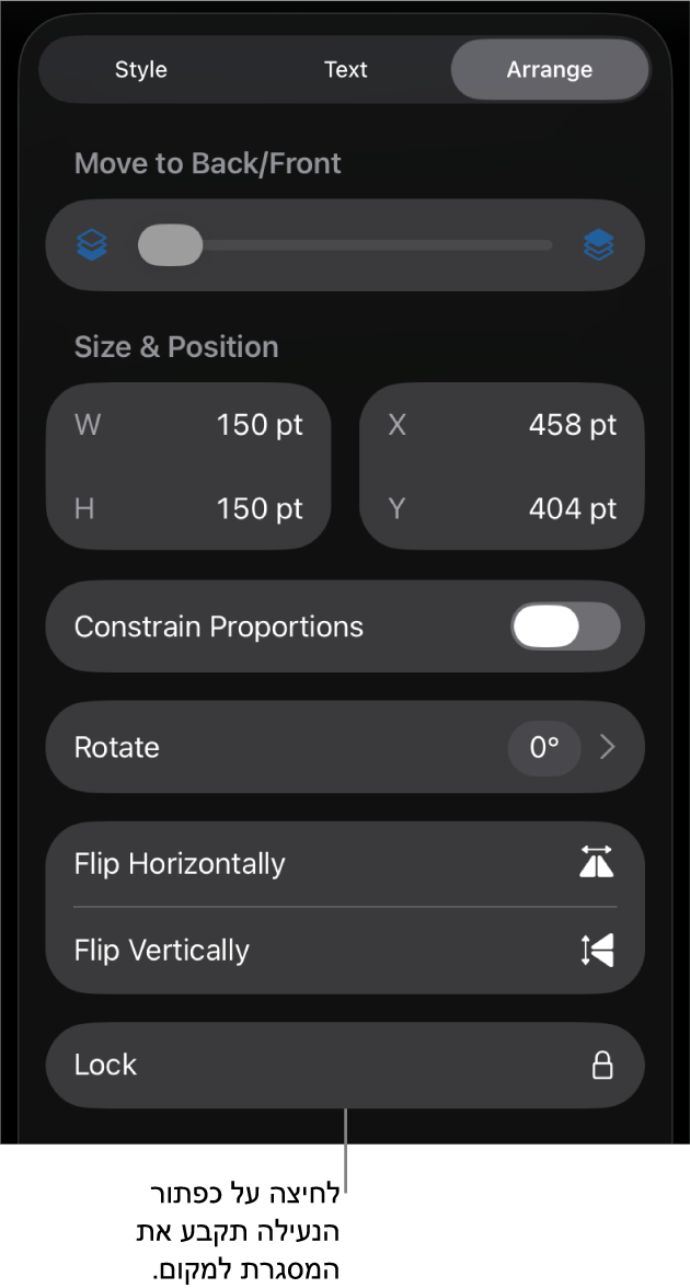 כלי הבקרה של ״ארגון״ בתפריט ״עיצוב עם הסבר לגבי הכפתור ״נעל״.
